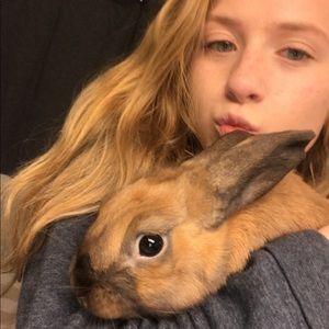 Meet your Posher, Hannah